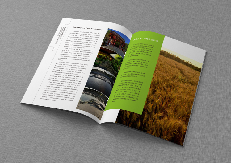芜湖画册设计-宣传画册设计的重要性